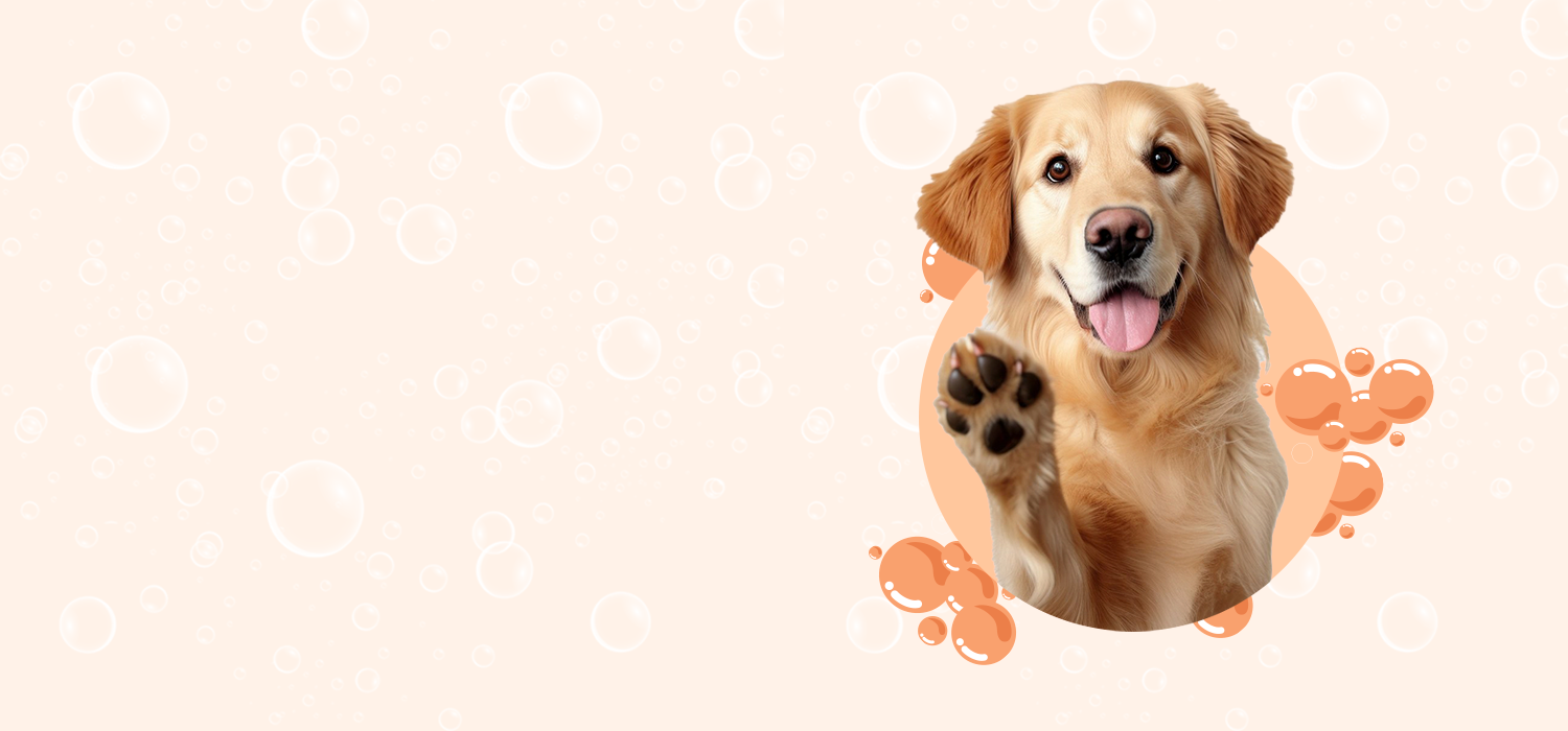 slider image 1621243260e1af0c20-0