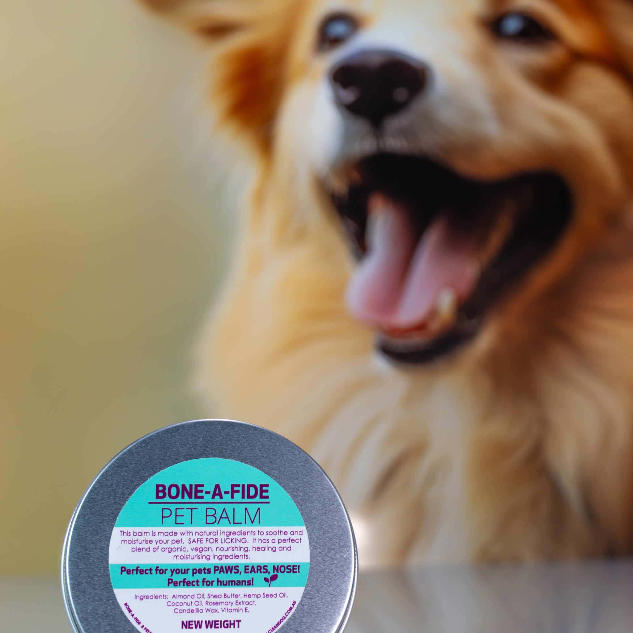 Bone-A-Fide - Pet Paw Balm